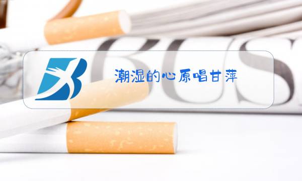 潮湿的心原唱甘萍 mv图片